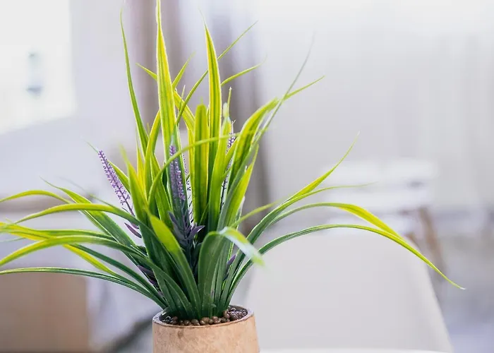 La Pietra Verga Apartman Kalamáta