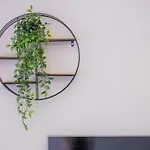 La Pietra Verga Apartman *