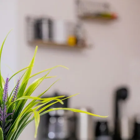 La Pietra Verga Kalamata