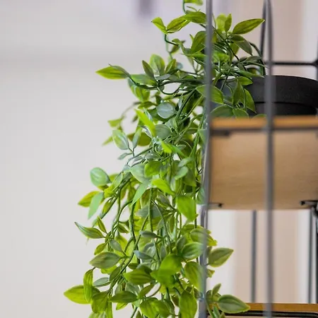 La Pietra Verga カラマタ