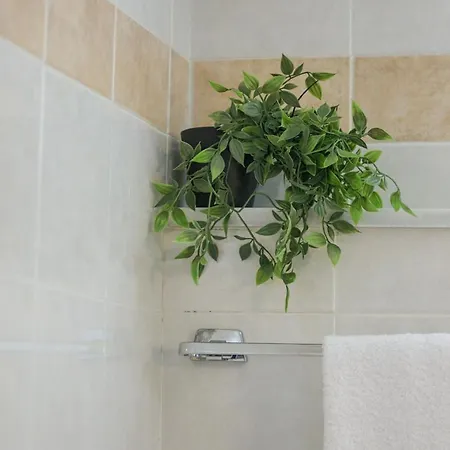 Apartament La Pietra Verga *