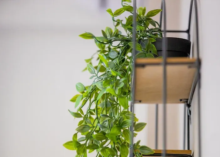 La Pietra Verga Kalamata